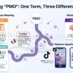 What Does PMO Mean in Text