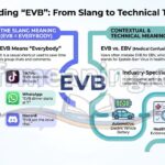 EVB Meaning in Text