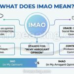 What Does IMAO Mean in Text