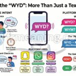 WYD Meaning in Text